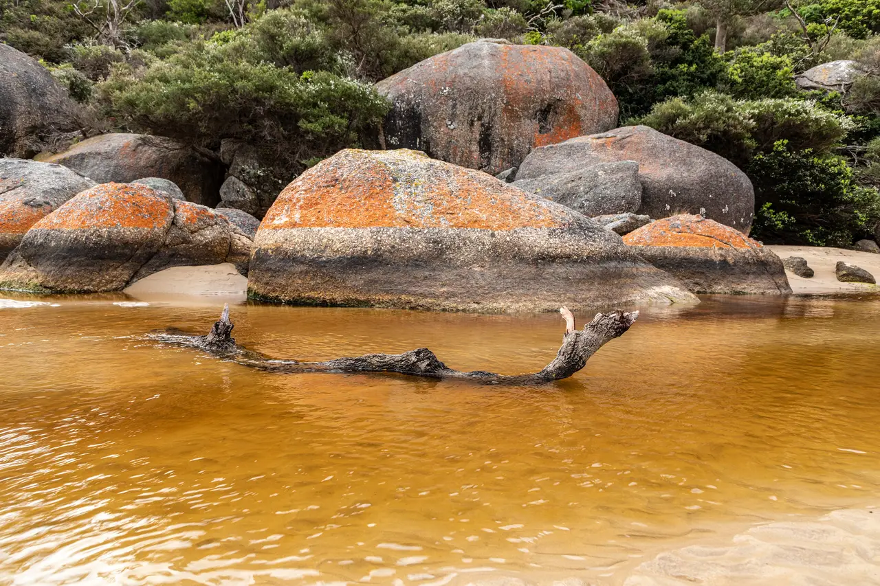Wilsons Promontory National Park (AU), Tidal River -- 2019 --
